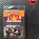 MOTOMASTER Schraubenkit für Bremsscheibe (Haan)